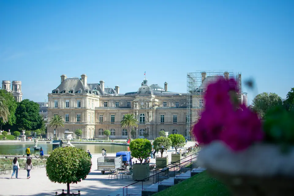 The Luxembourg Palace and its gardens under a clear blue sky, magenta blossom in the foreground