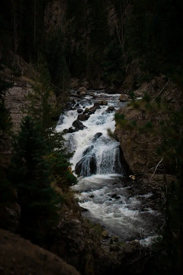 Whitewater cascade descending a steep forested canyon in low evening light
