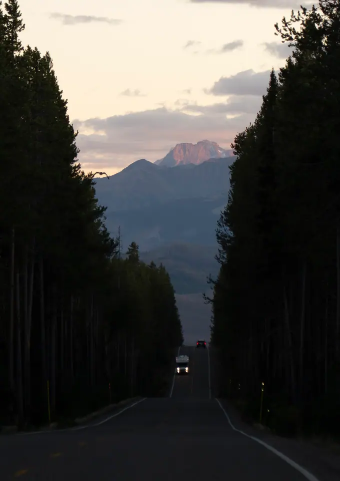 Empty highway running between walls of tall pines toward a distant mountain at dusk